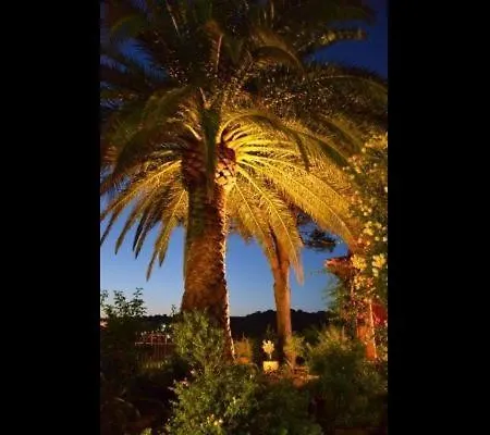 Appartement Collioure *